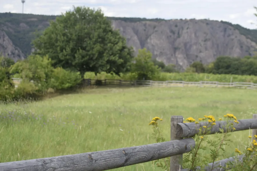 Salinental Feld