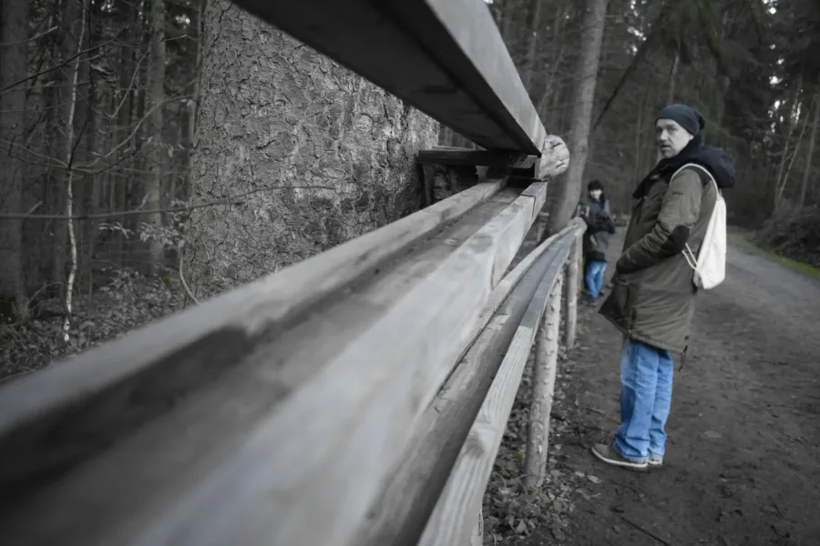 Holzkugelbahn Binger Wald