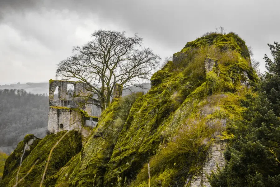 Burg Falkenstein