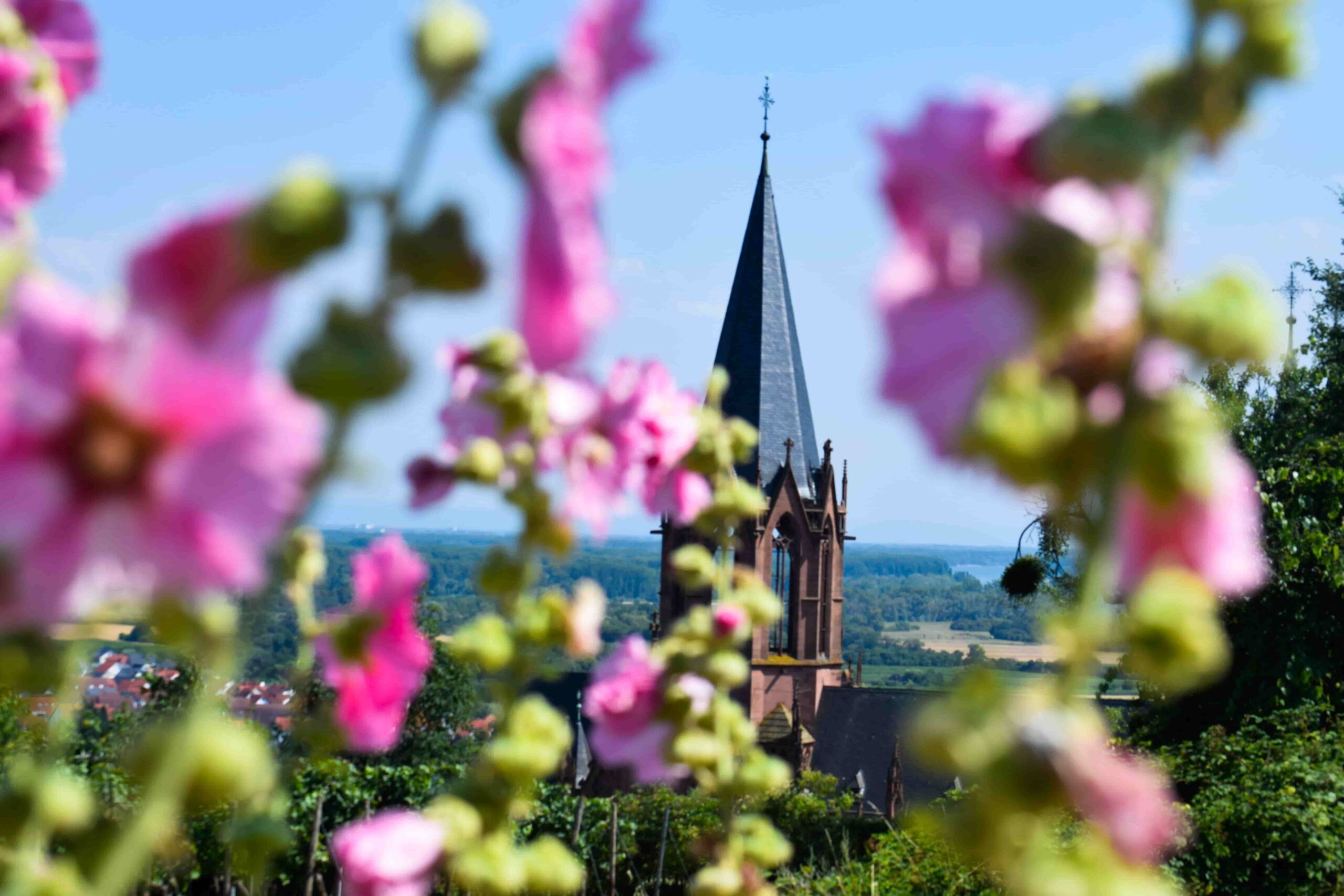 Katharinenkirche im Sommer