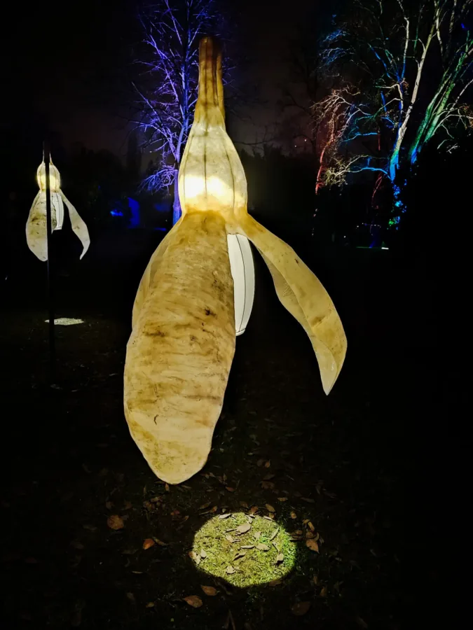Leuchtendes Schneeglöckchen Installation: Frankfurt Palmengarten Lichterfest