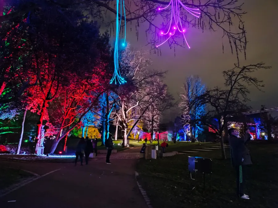 Lichtinstallation: Frankfurt Palmengarten Lichterfest