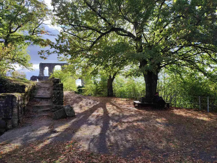 Burgruine Falkenstein Innenhof