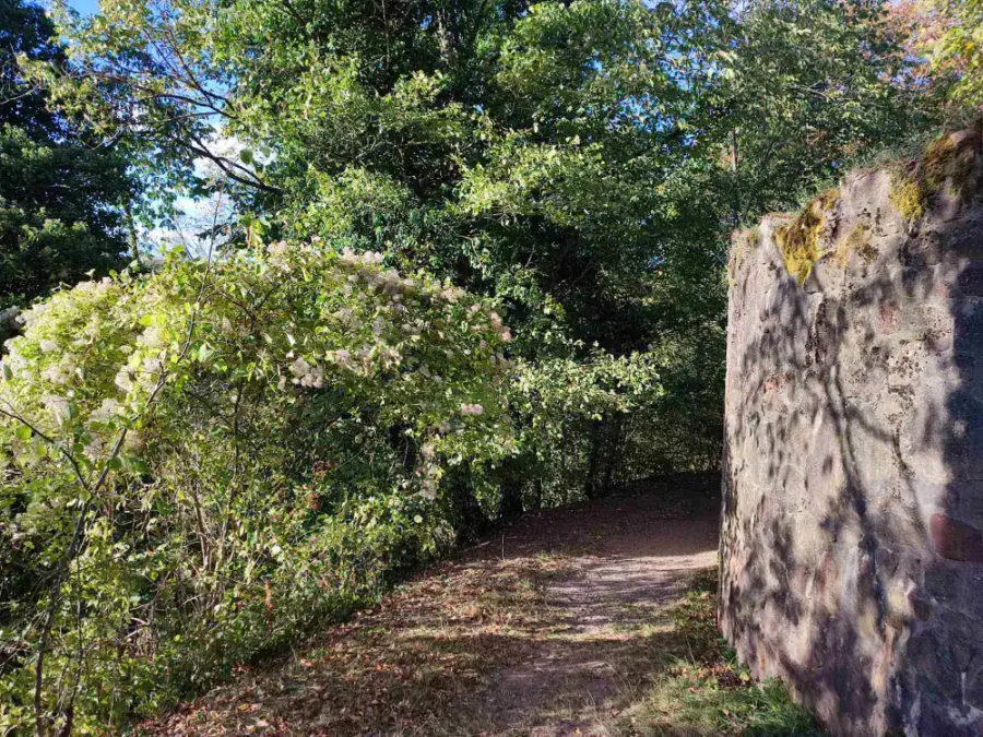 Rückseite Burg Falkenstein